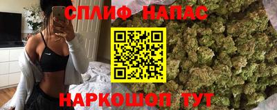 a pvp Будённовск