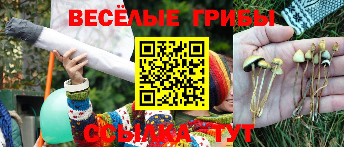 где продают наркотики  Псилоцибиновые грибы прущие грибы  Вход с VPN  Минусинск 